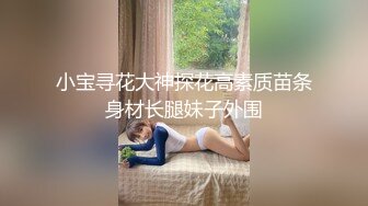 小宝寻花大神探花高素质苗条身材长腿妹子外围