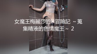 女魔王梅麗莎的H冒險記 ～蒐集精液的色情魔王～ 2