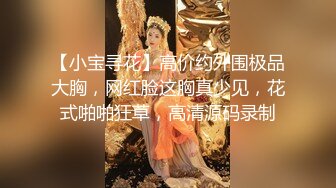 【小宝寻花】高价约外围极品大胸，网红脸这胸真少见，花式啪啪狂草，高清源码录制