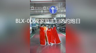 BLX-0062家庭主妇的约炮日记