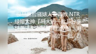 极品露脸骚婊人妻调教 NTR绿帽大神『吊大的一批』分享娇妻，主动张开黑丝M腿，满嘴淫语呻吟不断 骚的一批 (2)