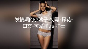 发情期的小姨子-特写-探花-口交-可爱-Pua-护士