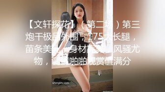 【文轩探花】（第二场）第三炮干极品外围，175大长腿，苗条美乳，身材完美，风骚尤物，调情啪啪观赏值满分