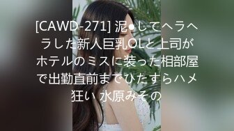 [CAWD-271] 泥●してヘラヘラした新人巨乳OLと上司がホテルのミスに装った相部屋で出勤直前までひたすらハメ狂い 水原みその