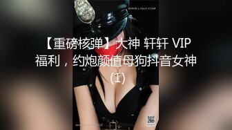 【重磅核弹】大神 轩轩 VIP福利，约炮颜值母狗抖音女神 (1)