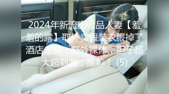 2024年新流出极品人妻【羞羞的露】取外卖假装衣服掉了酒店走廊，野外裸体，胆子超大超刺激，推荐！ (5)