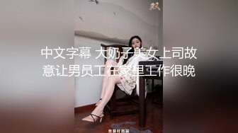 中文字幕 大奶子美女上司故意让男员工在家里工作很晚