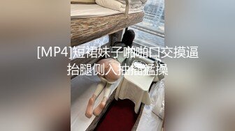 [MP4]短裙妹子啪啪口交摸逼抬腿侧入抽插猛操