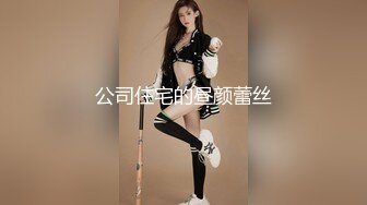 公司住宅的昼颜蕾丝