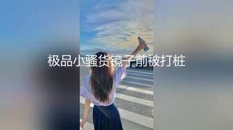 极品小骚货镜子前被打桩