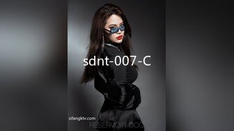 sdnt-007-C