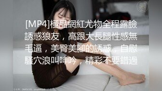 约啪 少妇口交 舔逼 无套 内射