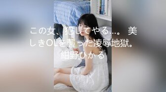 この女、犯してやる…。 美しきOLを襲った凌辱地獄。紺野ひかる