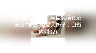 【推特巨乳】，与巨乳前女友无套啪啪，极品大奶子，白臀内射 (2)