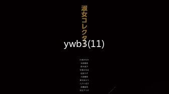 ywb3(11)