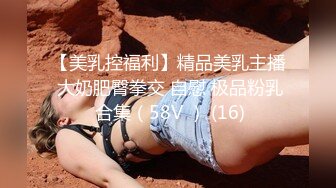 【美乳控福利】精品美乳主播 大奶肥臀拳交 自慰 极品粉乳 合集（58V ） (16)