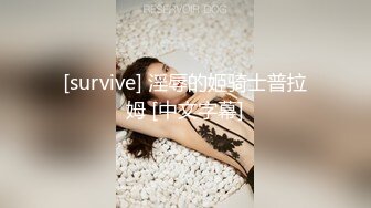 [survive] 淫辱的姬骑士普拉姆 [中文字幕]